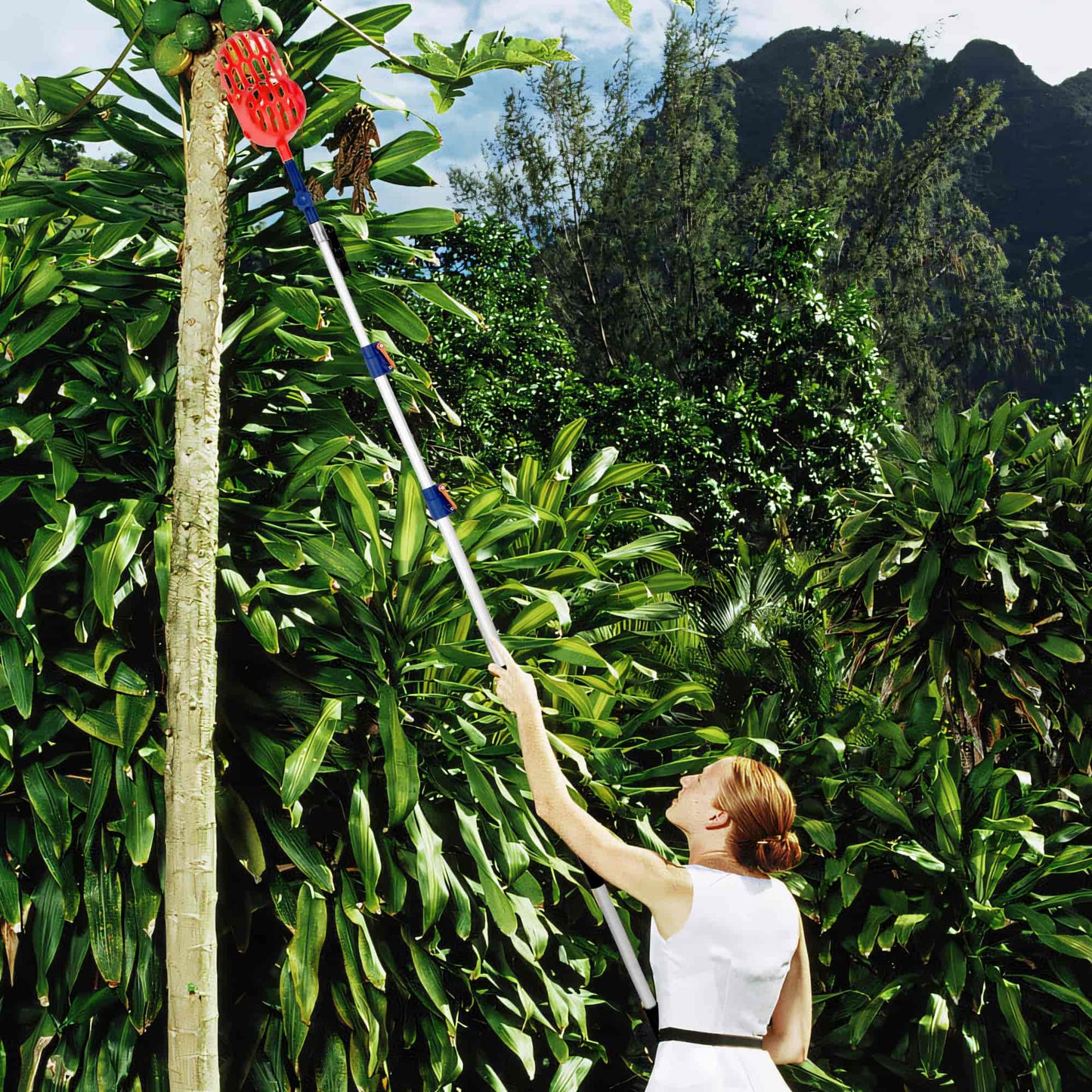 Fruit Picker Basket 5-8FT Telescopic Extension Pole